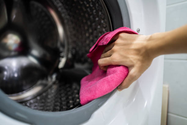 Trusted Duluth, MN Mold Removal Experts