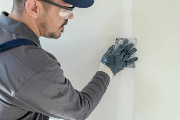 Best Mold Damage Restoration  in Duluth, MN