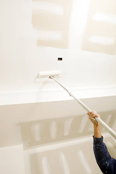 Best Environmental Consulting for Mold Prevention  in Duluth, MN